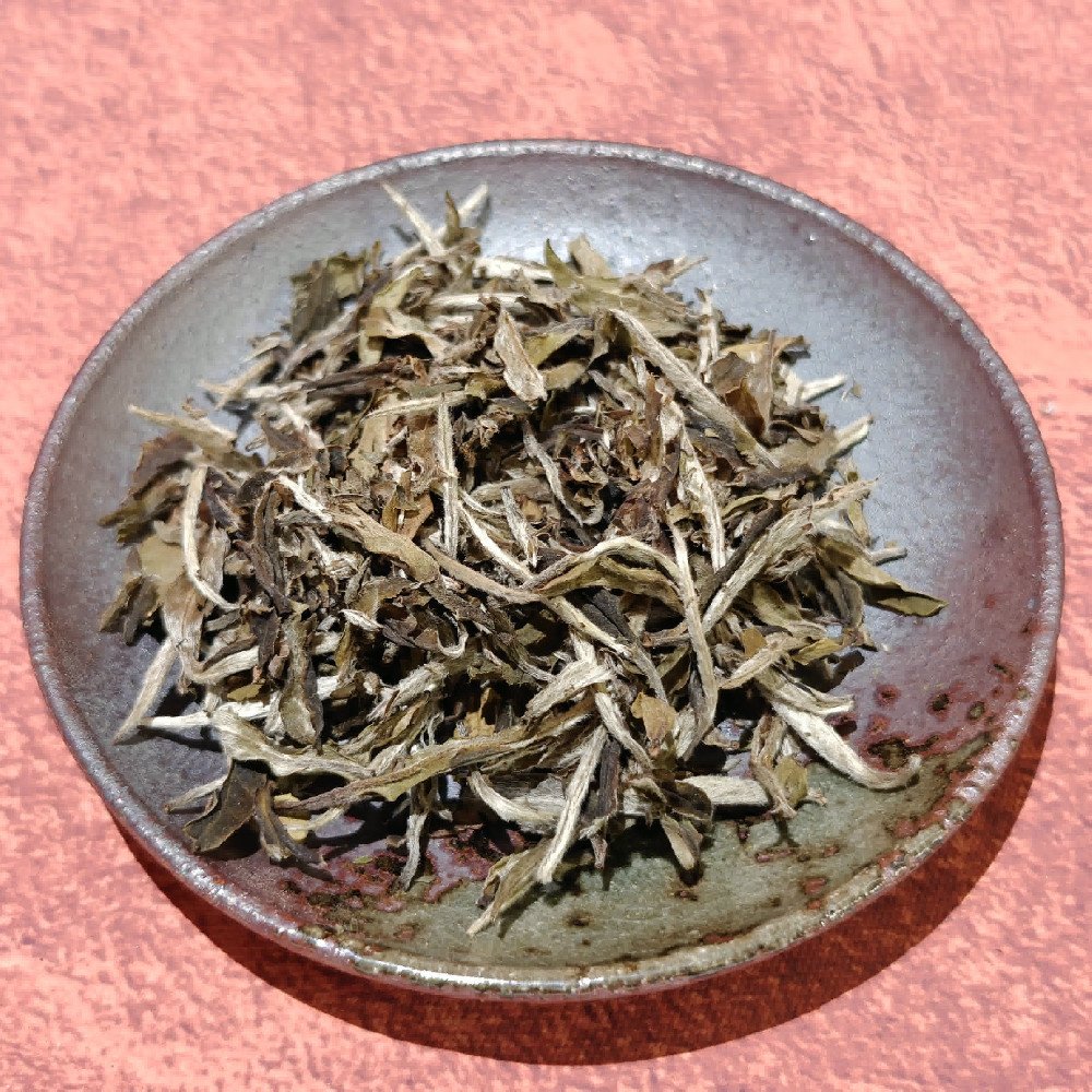 白牡丹