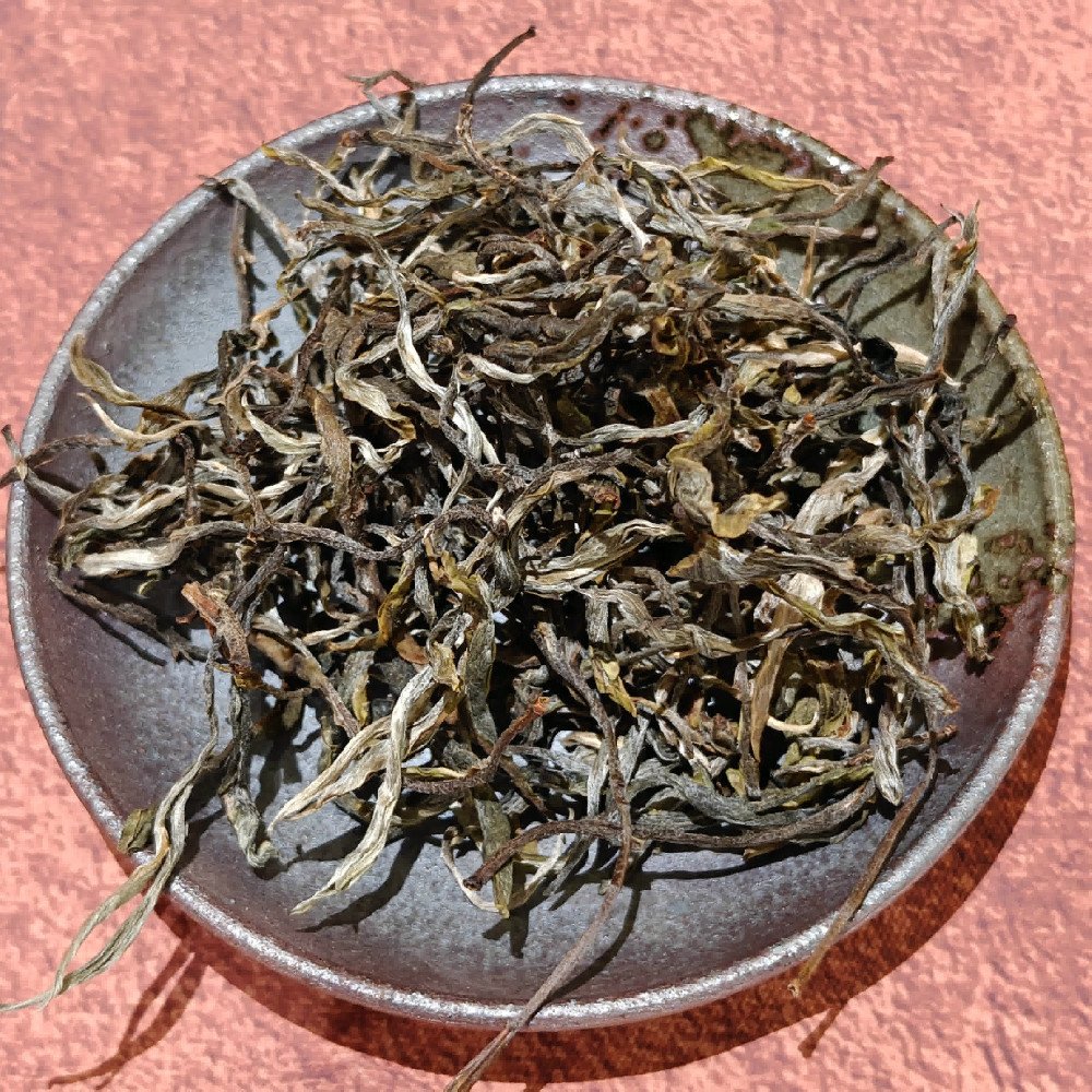2025普洱生茶